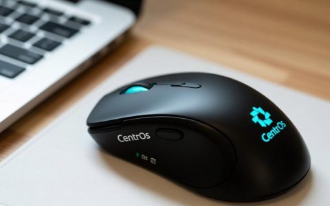 CentOS系统如何轻松实现鼠标集成？具体步骤详解？