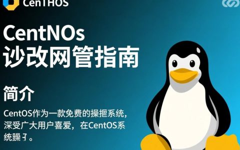 CentOS系统如何修改网管权限和设置？详细步骤揭秘！