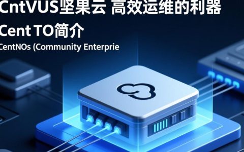 CentOS系统下如何高效使用坚果云？探讨最佳实践与疑问解答