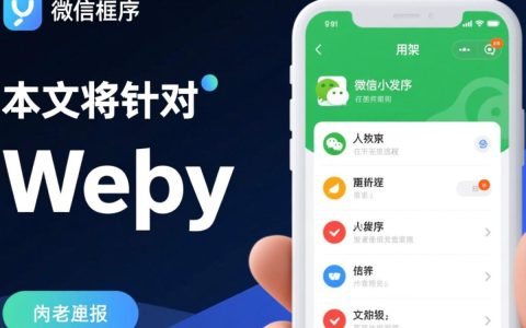 为何wepy小程序总是频繁报错？排查解决方法大揭秘！