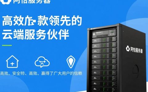 阿恰服务器为何如此受欢迎？揭秘其独特魅力与用户之谜