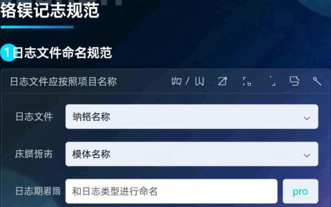 接口报错日志规范，如何制定和遵循标准化的疑问解析与记录方法？
