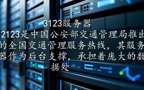 12123服务器样貌揭晓，神秘设施背后隐藏哪些秘密？