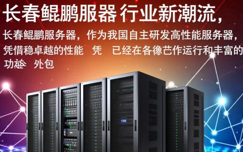 长春鲲鹏服务器是何方神圣？其性能与市场定位有何独特之处？