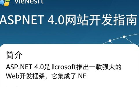 asp.net 4.0网站开发中常见的技术难题及优化策略有哪些？