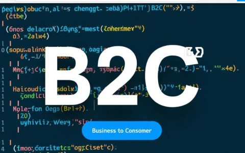 B2C网站代码中隐藏的奥秘，如何打造高效、安全的电子商务平台？