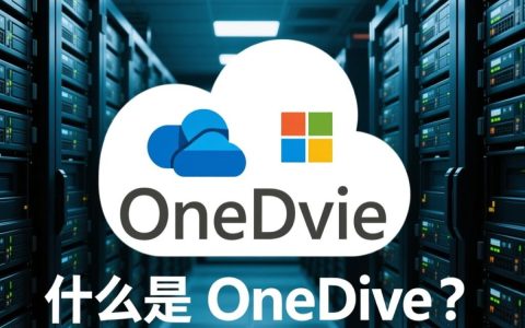 OneDrive使用服务器，是私人部署还是微软提供？选择哪款更适合我的需求？