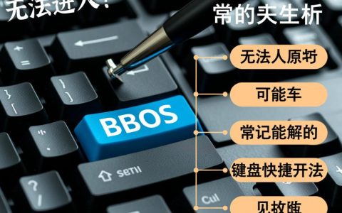 开机后无法进入BIOS，是硬件故障还是设置问题？快速排查攻略！