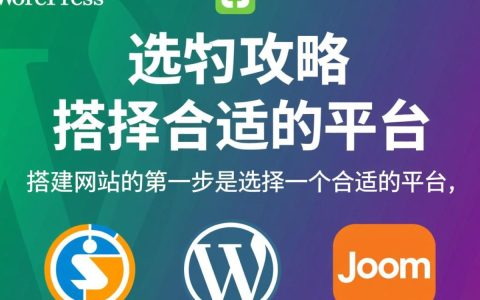 如何通过搭建网站实现稳定赚钱？揭秘高效网站盈利模式！