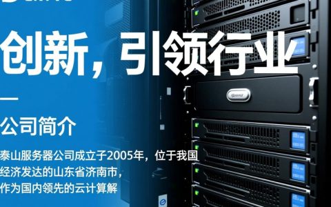 泰山服务器公司，为何泰山服务器在业界独树一帜，市场地位如此显著？