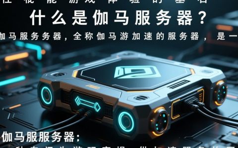 伽马服务器是什么？揭秘其独特功能和优势？