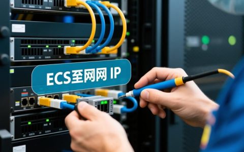 ECS公网IP如何更换，更换源站ECS公网IP的具体步骤是什么