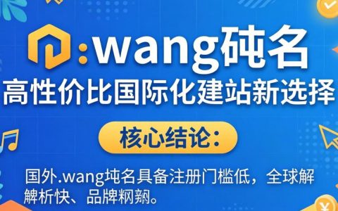 国外.wang域名能注册吗，国外.wang域名注册条件和流程