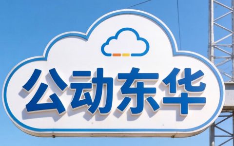公有云如何中标东华？东华公有云中标流程及关键点