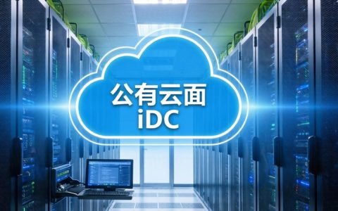 公有云IDC是什么？公有云IDC服务优势与选择指南