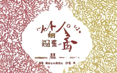 公司中台战略域名命名有何独特之处？中台域名命名策略