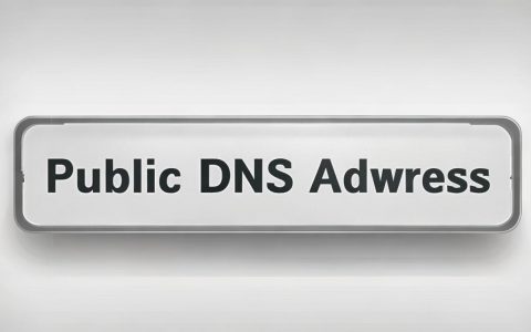 公共dns地址是多少，公共dns地址