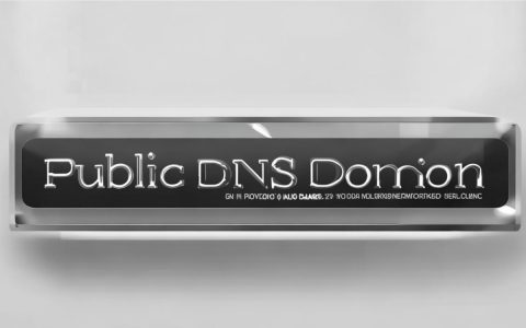 公共DNS域名真的更安全吗？公共DNS安全吗