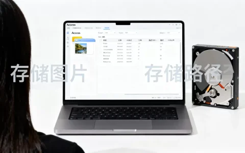 Access数据库怎么存储图片才正确，Access存储图片还是路径好？