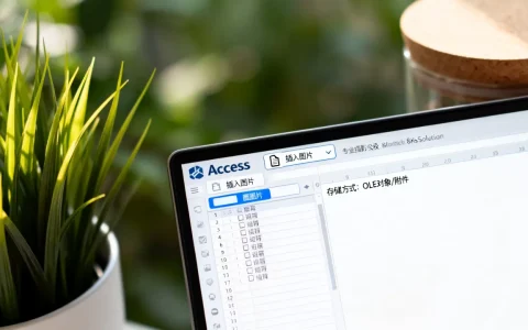 Access真的能存储图片吗，怎么存储图片？