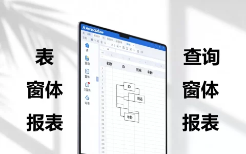 Access中存储基本数据的对象是什么，有哪些类型？