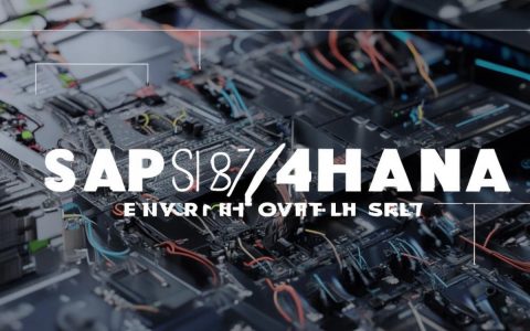 服务器怎么分成虚拟主机_SAP S/4HANA服务器配置